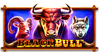 bull fiesta slot