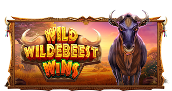 Wild Wildebeest Wins